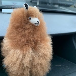 Meet your Posher, Oluyemi